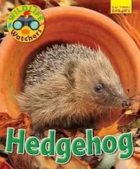 Hedgehog by Ruth Owen