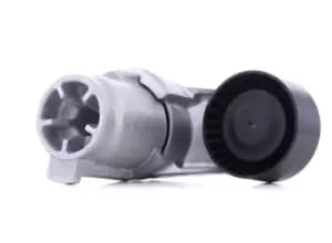 INA Tensioner Lever, v-ribbed belt 534 0433 10 BMW,ALPINA,5 Touring (F11),5 Limousine (F10),1 Schragheck (F20),3 Touring (F31),3 Limousine (F30, F80)