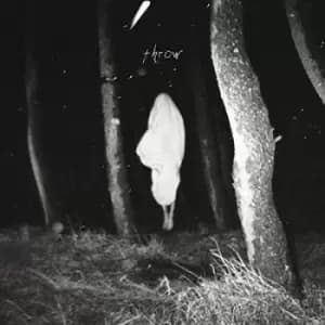 Flood Of Red - Throw CD Album - Used