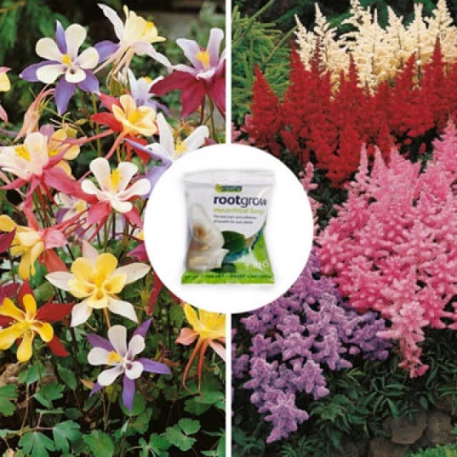 Yougarden 'perfect For Shade' Bare Root Collection, Set Of 15 Hardy Perennials, With Rootgrow Mycorrhizal Fungi 60G Pouch, For Sum