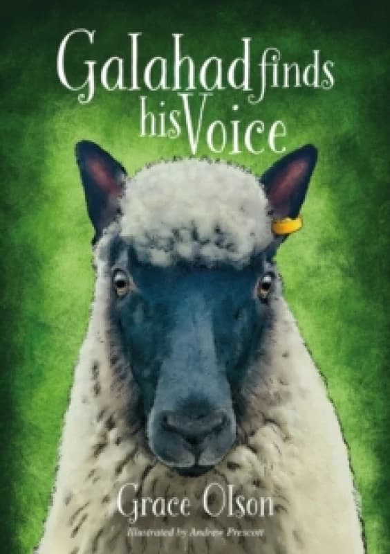 Galahad finds his Voice Paperback / softback