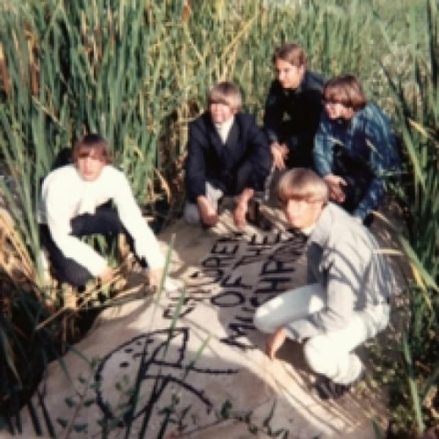 Children of the Mushroom Vinyl