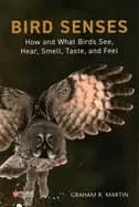 bird senses how and what birds see hear smell taste and feel