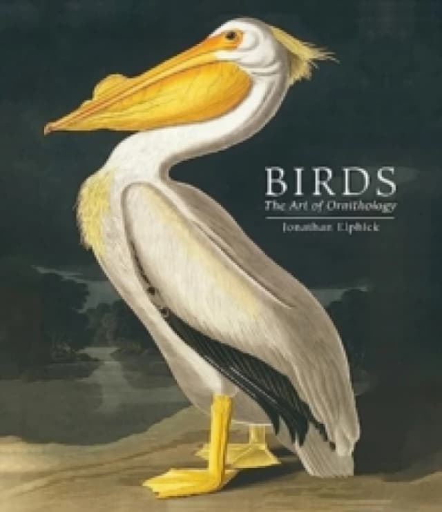 Birds. Hardback. By Jonathan Elphick Books