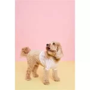 I Saw It First Pink Stripe Jersey Dog Hoodie - Pink