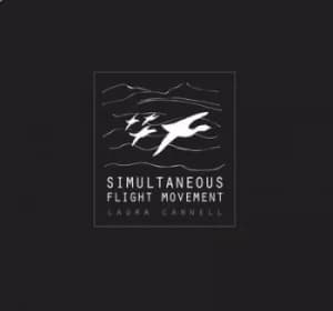 Simultaneous Flight Movement by Laura Cannell CD Album
