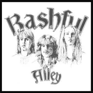 Its About Time by Bashful Alley Vinyl Album