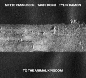 To the Animal Kingdom by Tashi Dorji, Mette Rasmussen, Tyler Damon CD Album
