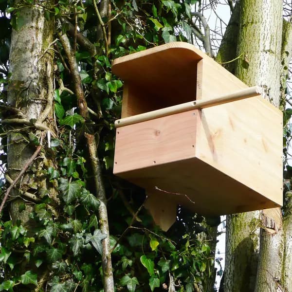 WILDLIFE WORLD LTD Kestrel Box WildlifekestrelboxKB