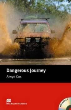 Dangerous journey by Alwyn Cox