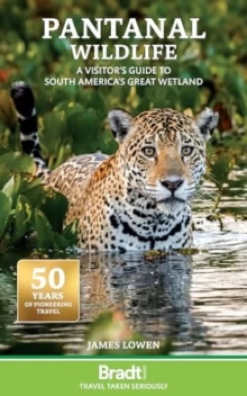 Pantanal Wildlife : A visitor's guide to South America's Great Wetland Paperback / softback