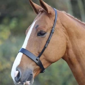 Blenheim Blenheim Noseband - Black