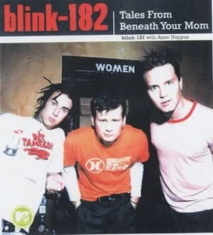Blink-182 by Anne Hoppus Paperback