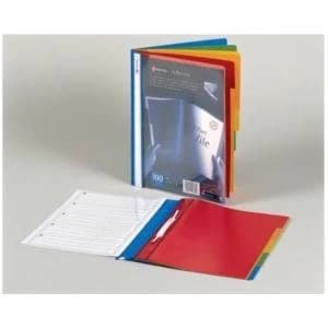 Rexel A4 Part File Polypropylene Translucent