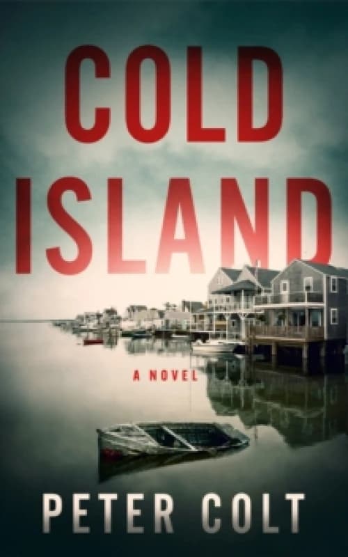 Cold Island : A Novel Paperback / softback
