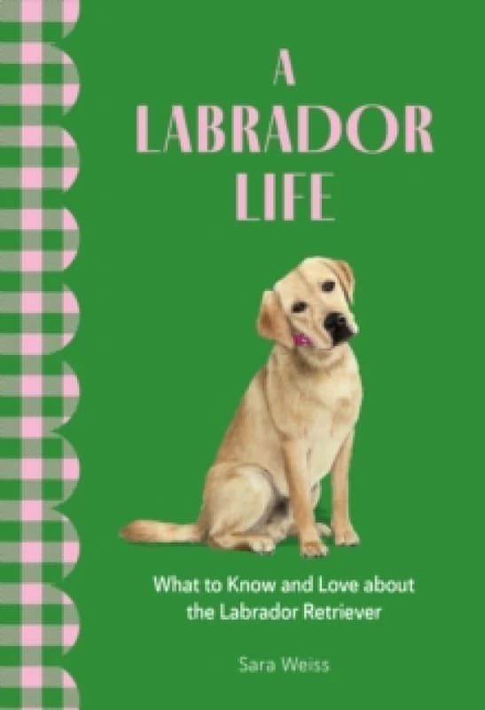 A Labrador Life : What to Know and Love About the Labrador Retriever Hardback