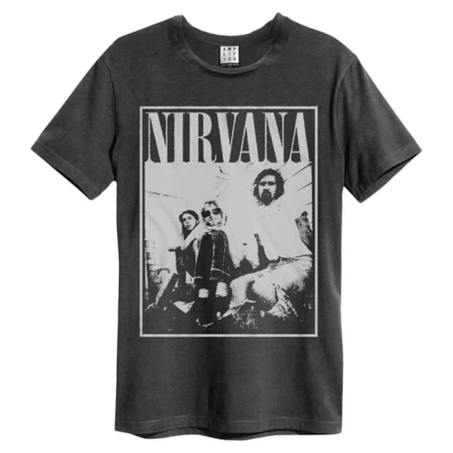 Amplified Amplified Men Group Shot Nirvana T-Shirt in Charcoal Size: Small Charcoal S Male 5063470345281