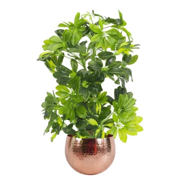 Leaf Design 75cm Artificial Arboricola Gold Capella Plant with Copper Metal Planter