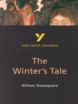 The Winters Tale William Shakespeare by Jeffrey Wood Paperback