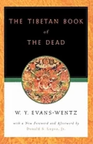 tibetan book of the dead or the after death experiences on the bardo plane