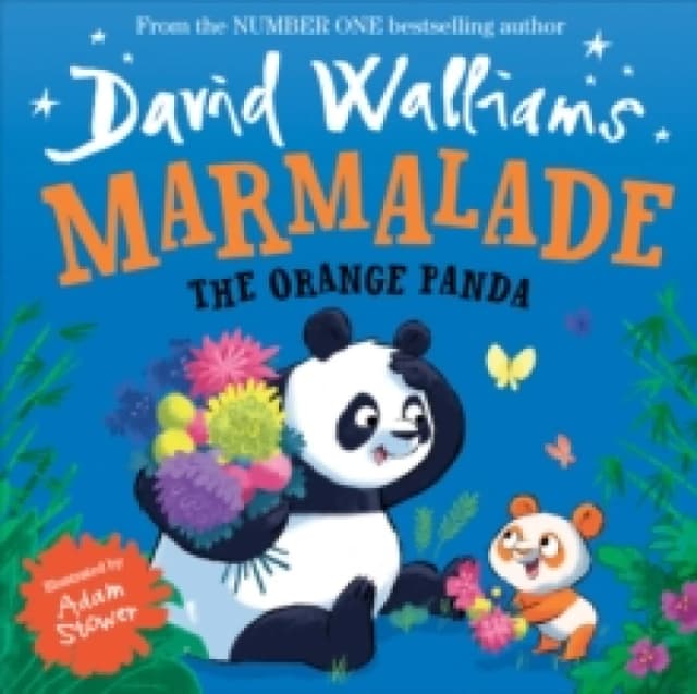 Marmalade : The Orange Panda Paperback / softback