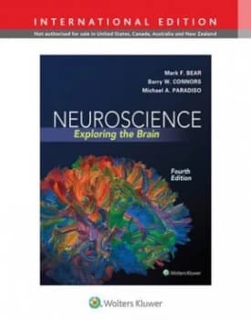 Neuroscience by Mark Bear Hardback