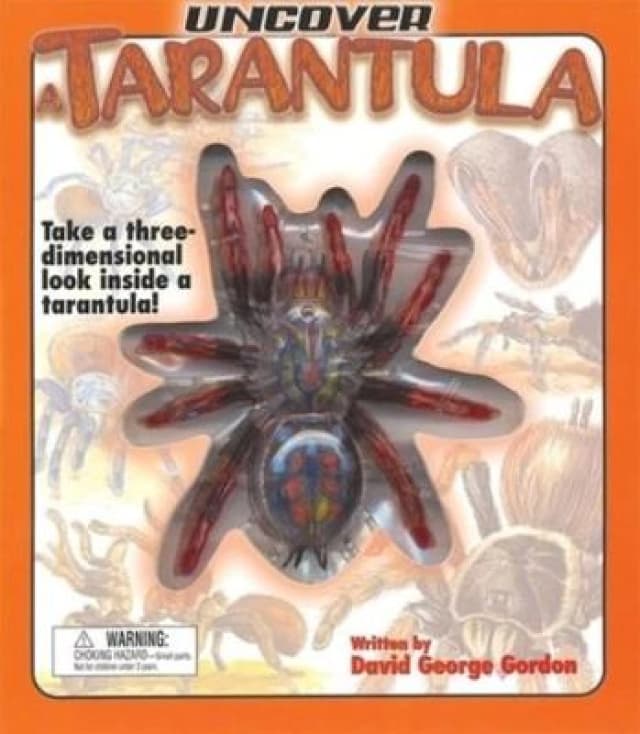 Uncover a Tarantula by David George Gordon Hardback