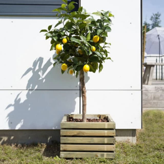 Cerland Kub Outdoor Square Wooden Planter 40Cm