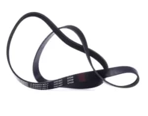 RIDEX V-ribbed belt OPEL,RENAULT,NISSAN 305P0408 1172000Q4A,1172000Q5G,93165542 117206599R,117208314R,4420655,8200803446,93165542