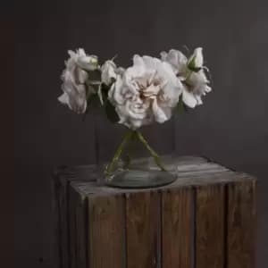 White Short Stem Rose