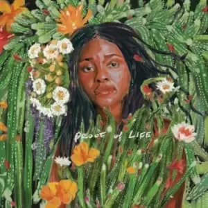 Proof of Life by Joy Oladokun Vinyl Album