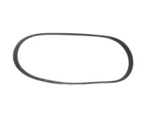 RIDEX V-ribbed belt RENAULT 305P0548 7700856107,7701064340,8200493939 Serpentine belt,Auxiliary belt,Poly V-belt,Ribbed belt,Multi V-belt,Poly belt