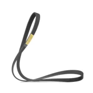 RIDEX V-ribbed belt 305P0501 Serpentine belt,Auxiliary belt BMW,RENAULT,FIAT,7 (E38),CLIO II (BB0/1/2_, CB0/1/2_),KANGOO (KC0/1_)