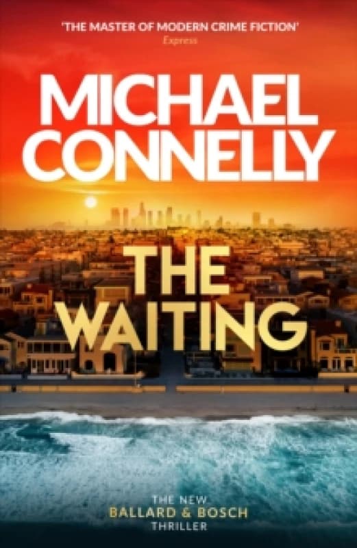 The Waiting : Inspiration for the hit Amazon Prime series BALLARD Hardback