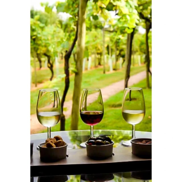 Activity Superstore Vineyard & Distillery Tours & Tastings None unisex One Size