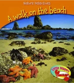 A Walk on the Beach by Jo Waters Hardback