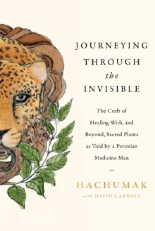 Journeying Through the Invisible. Paperback. By Jorge Hachumak, David Carroll Books