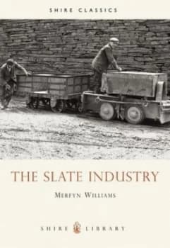 The Slate Industry by Merfyn Williams Book