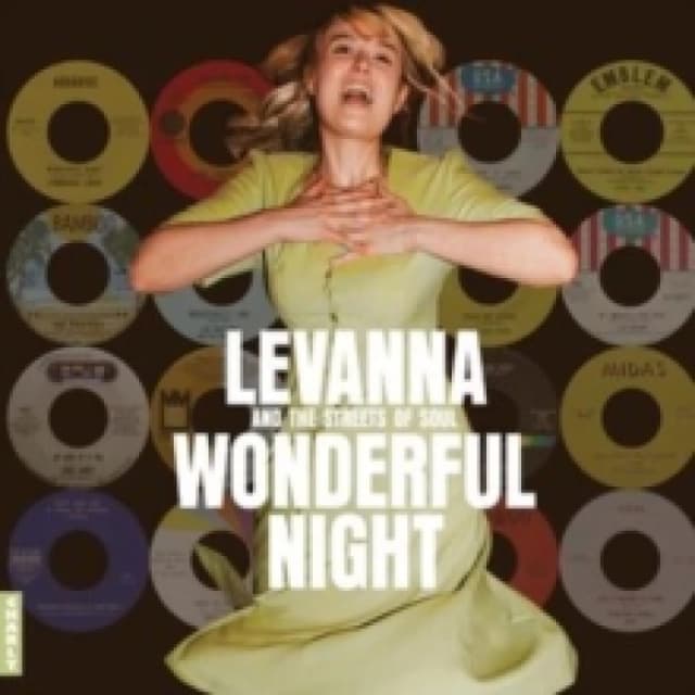 Wonderful Night: Curated By Levanna Vinyl