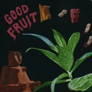Good Fruit by TEEN CD Album