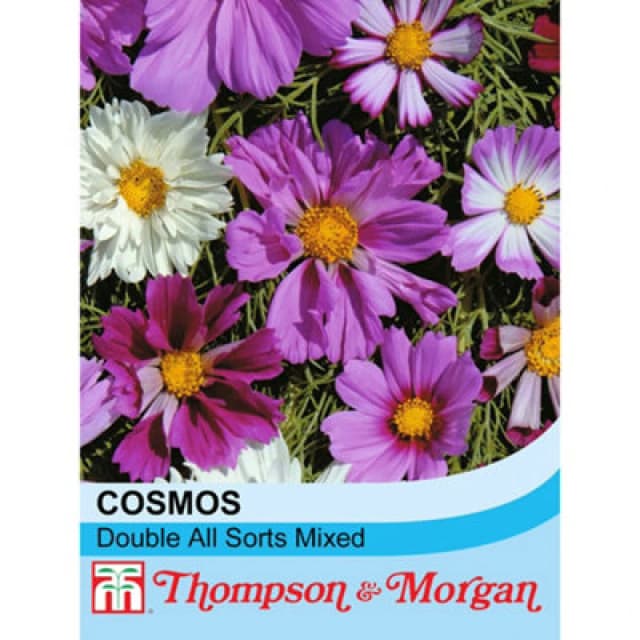 Thompson & Morgan Cosmos Double All Sorts Mixed 1 Seed Packet (75 Seeds)