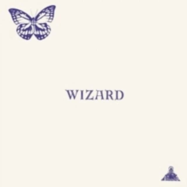 Wizard Vinyl