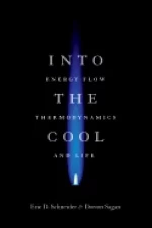 into the cool energy flow thermodynamics and life