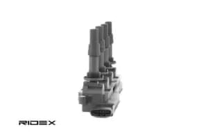 RIDEX Ignition coil 689C0033 Coil pack,Ignition coil pack OPEL,SAAB,VAUXHALL,Corsa C Schragheck (X01),Meriva A (X03),Astra H Caravan (A04)