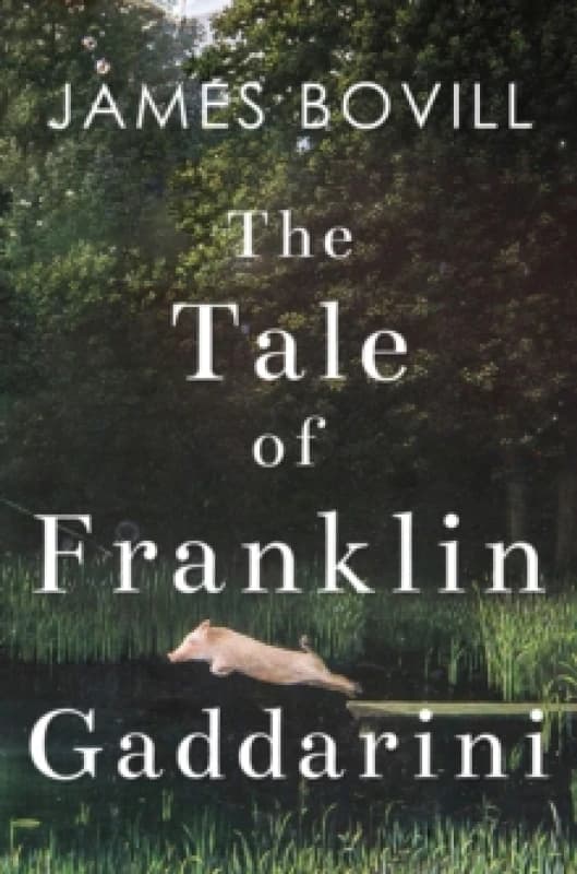 The Tale of Franklin Gaddarini Paperback / softback