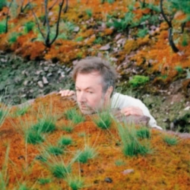 The Mushroom Type Vinyl