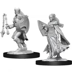 D&D Nolzur's Marvelous Unpainted Miniatures (W14) Kalashtar Cleric Female