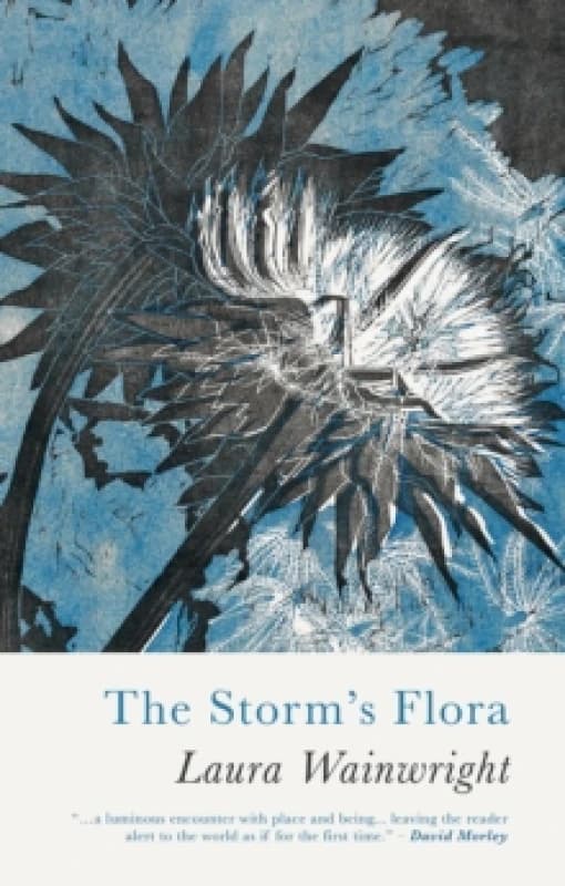 The Storm's Flora Paperback / softback