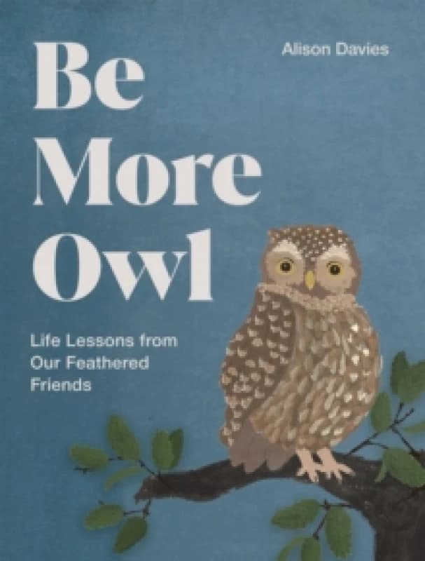 Be More Owl : Life Lessons from Our Feathered Friends Hardback