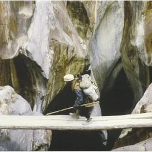 CHAMS - Lettre D'amort Vinyl